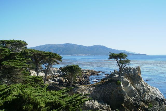Zdjęcia: Carmel, California, 17 Miles Drive, USA Zdjęcia: Carmel, California, 17 Miles Drive, USA