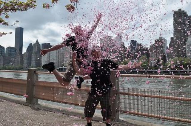 Zdjęcia: Nowy Jork, NY, Roosevelt Island, wyspa ze szpitalem psychiatrycznym... ;), USA Zdjęcia: Nowy Jork, NY, Roosevelt Island, wyspa ze szpitalem psychiatrycznym... ;), USA