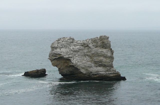 Zdjęcia: Point Reyes, Kalifornia, ostoja kormoranów, USA Zdjęcia: Point Reyes, Kalifornia, ostoja kormoranów, USA