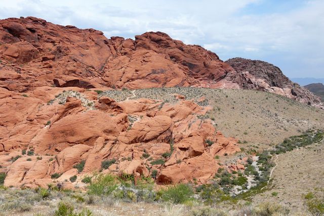 Zdjęcia: Park Narodowy, Newada, Red Rock NP, USA Zdjęcia: Park Narodowy, Newada, Red Rock NP, USA