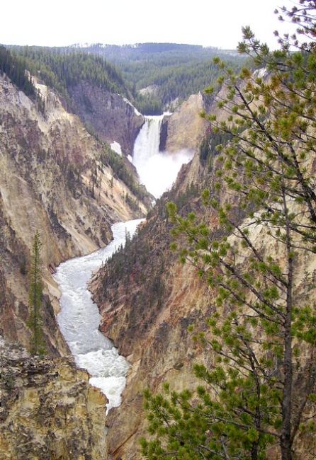 Zdjęcia: Park Yellowstone, Wyoming, niezwykły kanion rzeki Yellowstone, USA Zdjęcia: Park Yellowstone, Wyoming, niezwykły kanion rzeki Yellowstone, USA