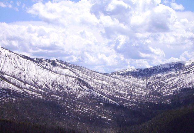 Zdjęcia: Yellowstone Nat. Park, Wyoming, na przełęczy, USA Zdjęcia: Yellowstone Nat. Park, Wyoming, na przełęczy, USA