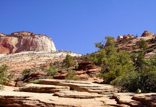 Zdjęcia: Zion Nat. Park, Arizona, formacje skalne w Zion Nat. Park, USA Zdjęcia: Zion Nat. Park, Arizona, formacje skalne w Zion Nat. Park, USA