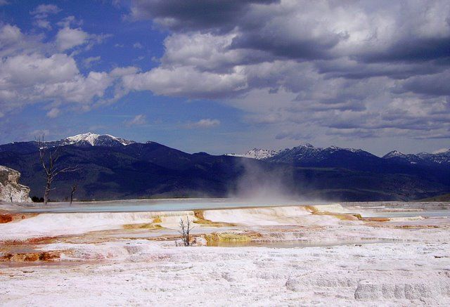 Zdjęcia: Yellowstone, Wyoming, trawertynowe tarasy w Mamoth Hot Springs, USA Zdjęcia: Yellowstone, Wyoming, trawertynowe tarasy w Mamoth Hot Springs, USA