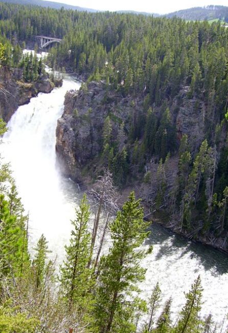 Zdjęcia: Yellowstone Nat. Park, Wyoming, rzeka Yellowstone juz poza kanionem, USA Zdjęcia: Yellowstone Nat. Park, Wyoming, rzeka Yellowstone juz poza kanionem, USA