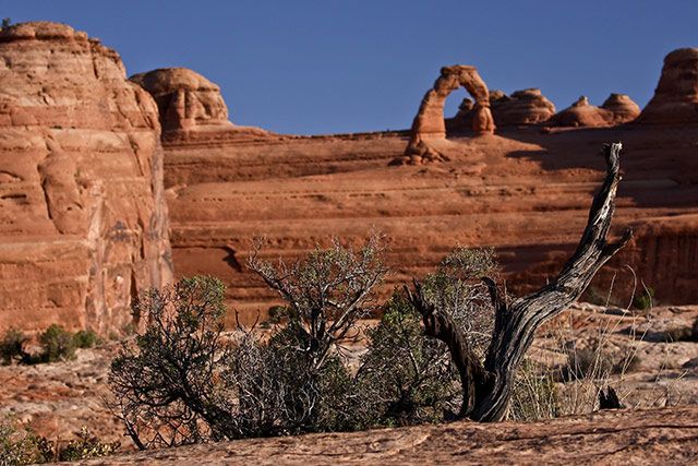Zdjęcia: Arches NP, stan Utah, Arches NP, USA Zdjęcia: Arches NP, stan Utah, Arches NP, USA