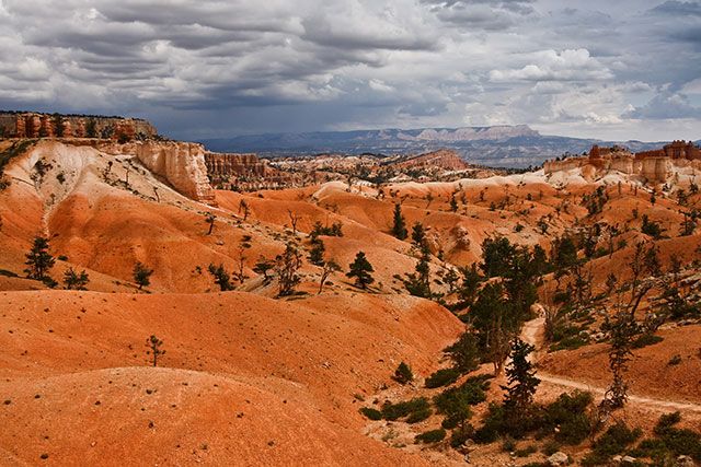 Zdjęcia: Bryce Canyon NP, stan Utah, Bryce Canyon, USA Zdjęcia: Bryce Canyon NP, stan Utah, Bryce Canyon, USA