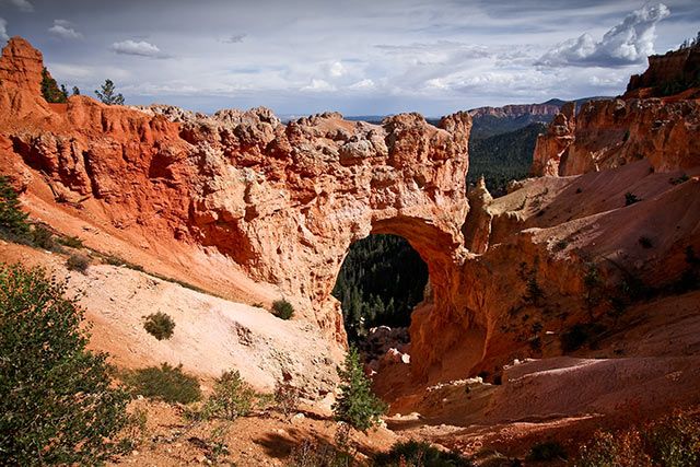 Zdjęcia: Bryce Canyon NP, stan Utah, Bryce Canyon, USA Zdjęcia: Bryce Canyon NP, stan Utah, Bryce Canyon, USA