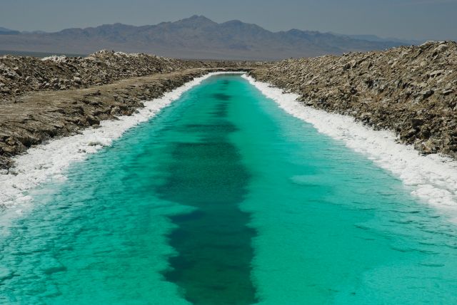 Zdjęcia: Pustynia, California, MOJAVE DESERT, USA Zdjęcia: Pustynia, California, MOJAVE DESERT, USA