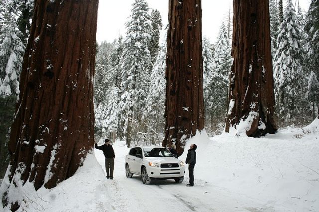 Zdjęcia: Sequoia National Park, California, Duze tez jest piekne, USA Zdjęcia: Sequoia National Park, California, Duze tez jest piekne, USA