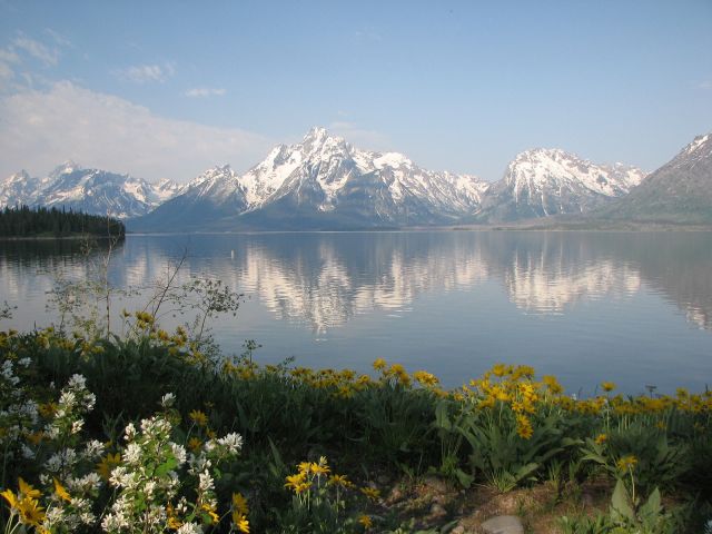 Zdjęcia: Park Narodowy Grand Teton, Wyoming, KONKURS - oszalało... zakwieciło, USA Zdjęcia: Park Narodowy Grand Teton, Wyoming, KONKURS - oszalało... zakwieciło, USA