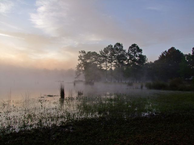 Zdjęcia: Georgia / Lake Harmony, poranna mgielka, USA Zdjęcia: Georgia / Lake Harmony, poranna mgielka, USA