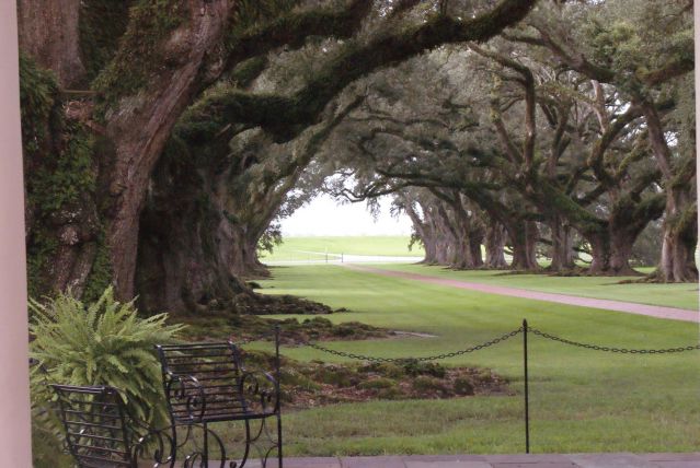 Zdjęcia: godzina jazdy od New Orleans, Luizjana, Oak Alley Plantation, USA Zdjęcia: godzina jazdy od New Orleans, Luizjana, Oak Alley Plantation, USA