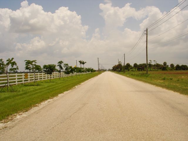 Zdjęcia: Everglades, Floryda, niekończąca się prosta, USA Zdjęcia: Everglades, Floryda, niekończąca się prosta, USA