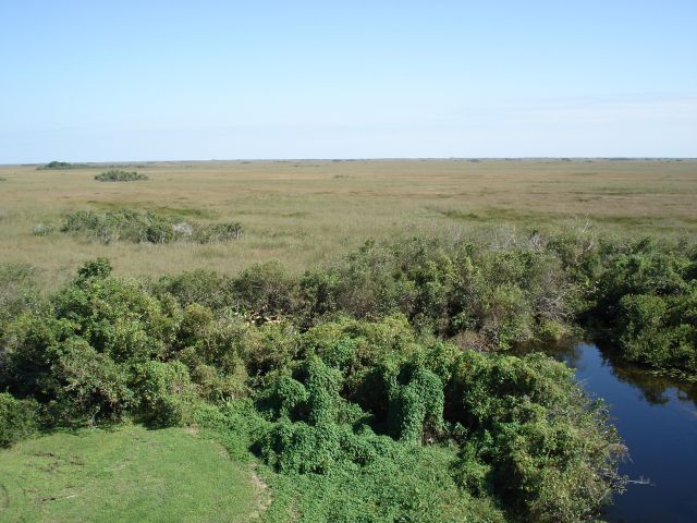 Zdjęcia: Park Narodowy Everglades, Floryda, Panorama Everglades, USA Zdjęcia: Park Narodowy Everglades, Floryda, Panorama Everglades, USA