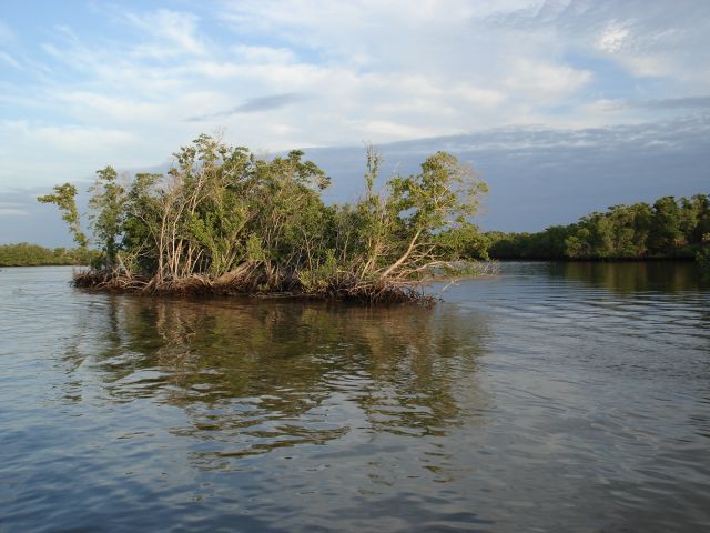 Zdjęcia: Park Narodowy Everglades, Floryda, Archipelag Dziesięciu Tysięc Wysp, USA Zdjęcia: Park Narodowy Everglades, Floryda, Archipelag Dziesięciu Tysięc Wysp, USA
