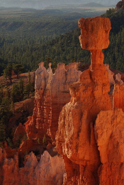Zdjęcia: Bryce Canyon National Park, Utah, Bryce Canyon, USA Zdjęcia: Bryce Canyon National Park, Utah, Bryce Canyon, USA