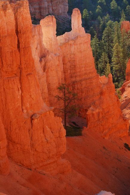 Zdjęcia: Bryce Canyon National Park, Utah, Bryce Canyon, USA Zdjęcia: Bryce Canyon National Park, Utah, Bryce Canyon, USA