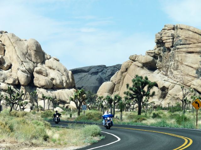 Zdjęcia: Joshua Tree NP, California, Trasa pośród drzewek jezuego, USA Zdjęcia: Joshua Tree NP, California, Trasa pośród drzewek jezuego, USA