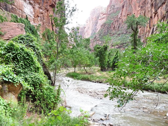 Zdjęcia: Zion NP, Utah, W wąwozie Zionu, USA Zdjęcia: Zion NP, Utah, W wąwozie Zionu, USA