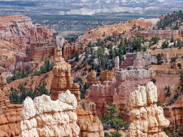 Zdjęcia: Bryce Canyon NP, Utah, Skalne dzieła sztuki, USA Zdjęcia: Bryce Canyon NP, Utah, Skalne dzieła sztuki, USA