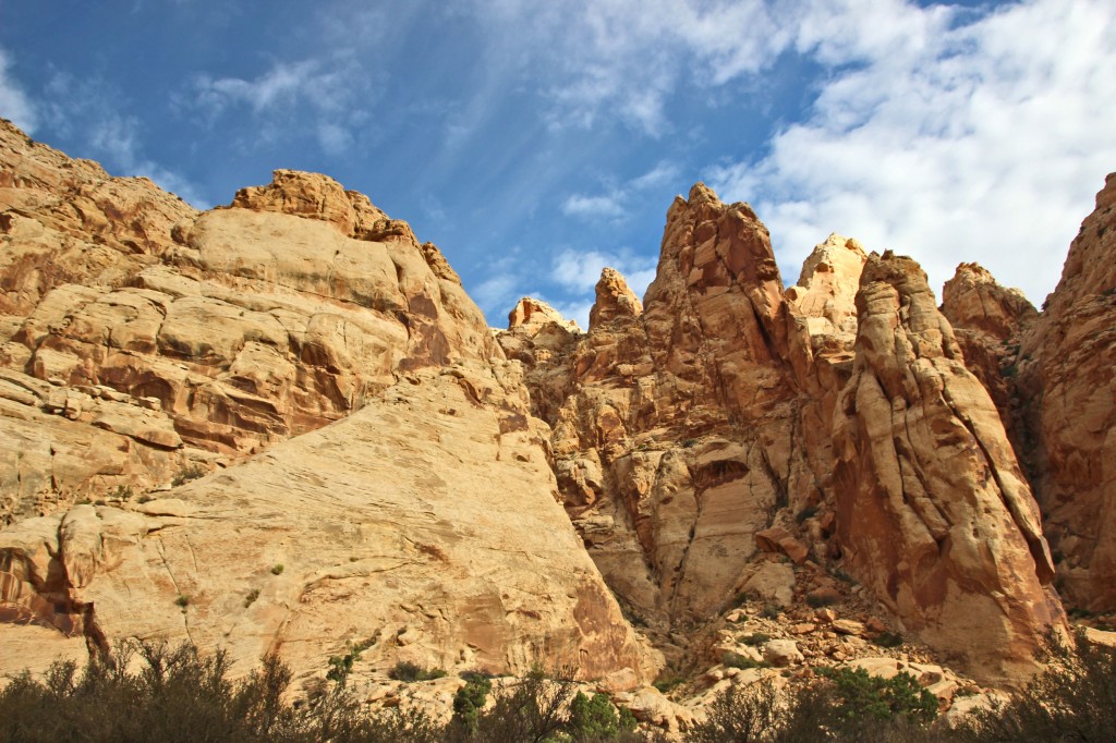 Zdjęcia: Utah / Capitol Reef NP, Konkurs - grzebyk, USA Zdjęcia: Utah / Capitol Reef NP, Konkurs - grzebyk, USA
