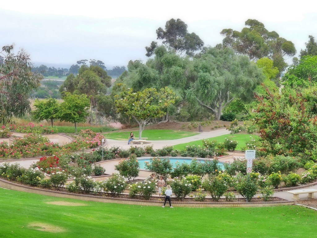 Zdjęcia: San Diego, California, Bilbao Park, USA Zdjęcia: San Diego, California, Bilbao Park, USA