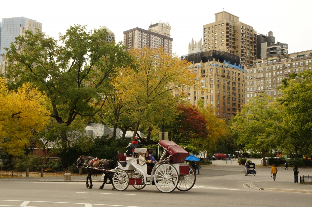 Zdjęcia: Central Park, Nowy Jork, Jesień w Parku Centralnym, USA Zdjęcia: Central Park, Nowy Jork, Jesień w Parku Centralnym, USA