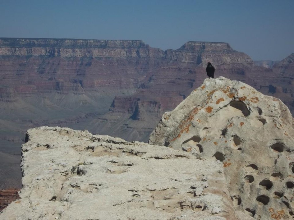Zdjęcia: grand canyon, Kolorado, :), USA Zdjęcia: grand canyon, Kolorado, :), USA