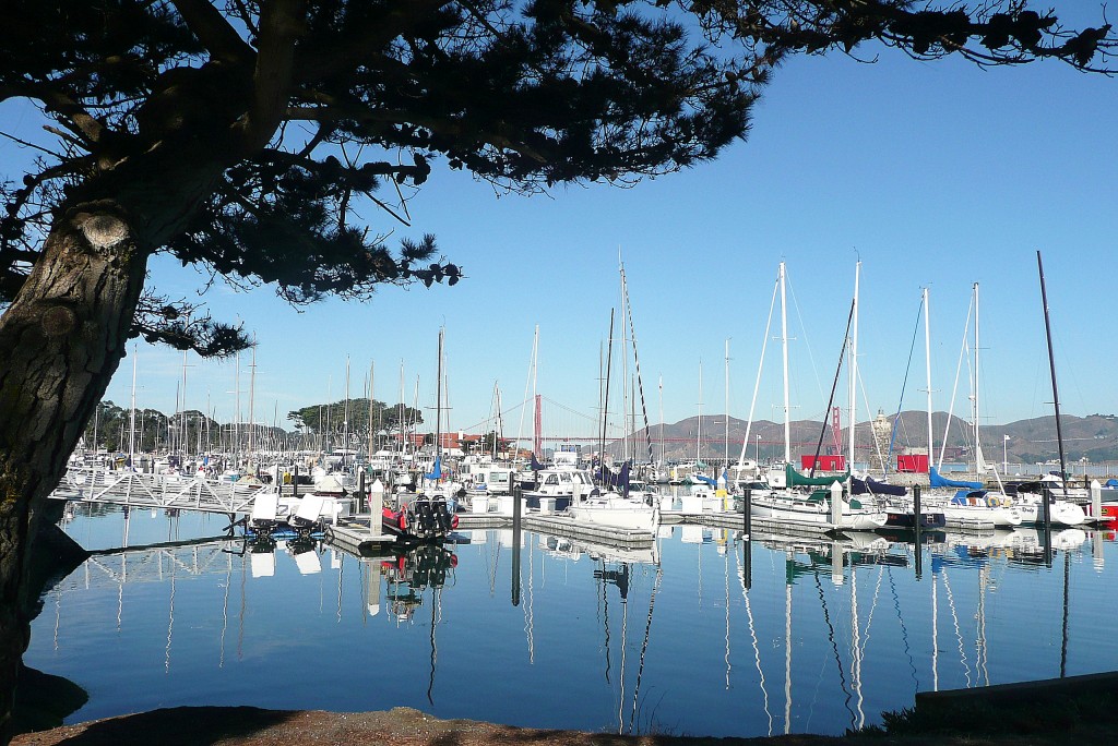 Zdjęcia: San Francicso, California, City Harbour, USA Zdjęcia: San Francicso, California, City Harbour, USA