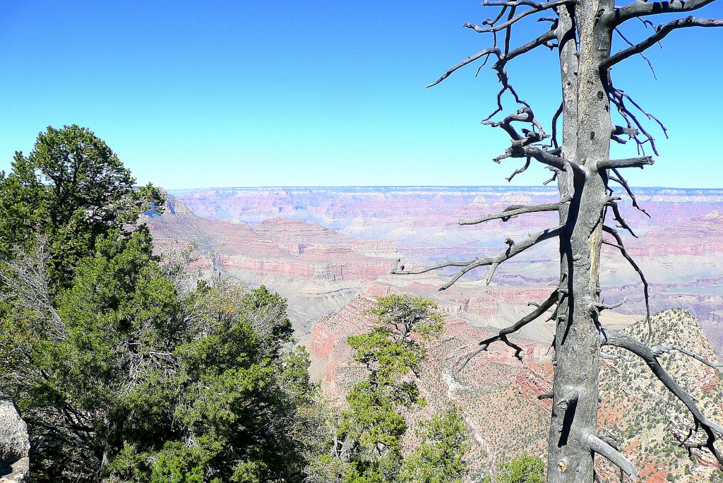 Zdjęcia: GCC, Arizona, Grand Canion Colorado, USA Zdjęcia: GCC, Arizona, Grand Canion Colorado, USA