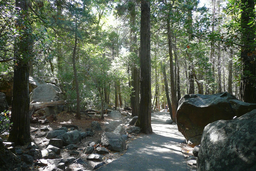 Zdjęcia: Yosemite, California, śieżka w parku, USA Zdjęcia: Yosemite, California, śieżka w parku, USA
