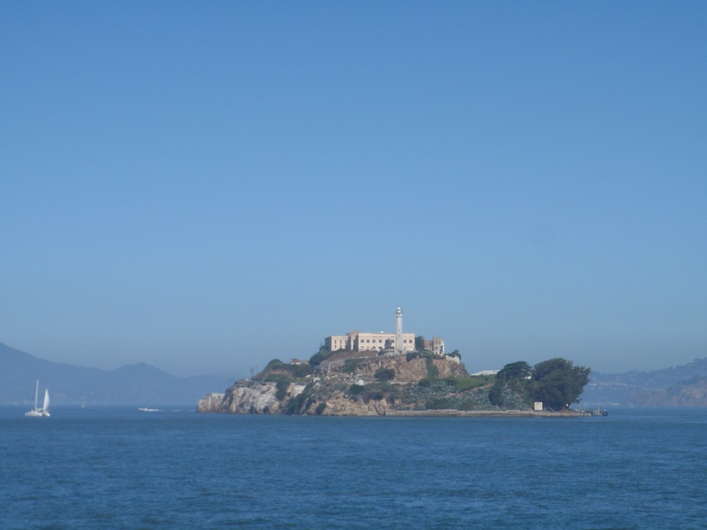 Zdjęcia: Kalifornia, Kalifornia, Alkatras, USA Zdjęcia: Kalifornia, Kalifornia, Alkatras, USA