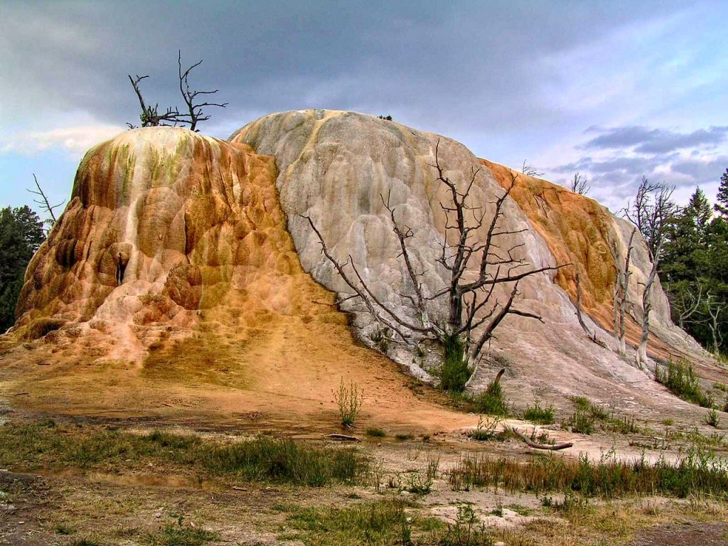 Zdjęcia: Yellowstone, Wyoming, Zastygły czas, USA Zdjęcia: Yellowstone, Wyoming, Zastygły czas, USA