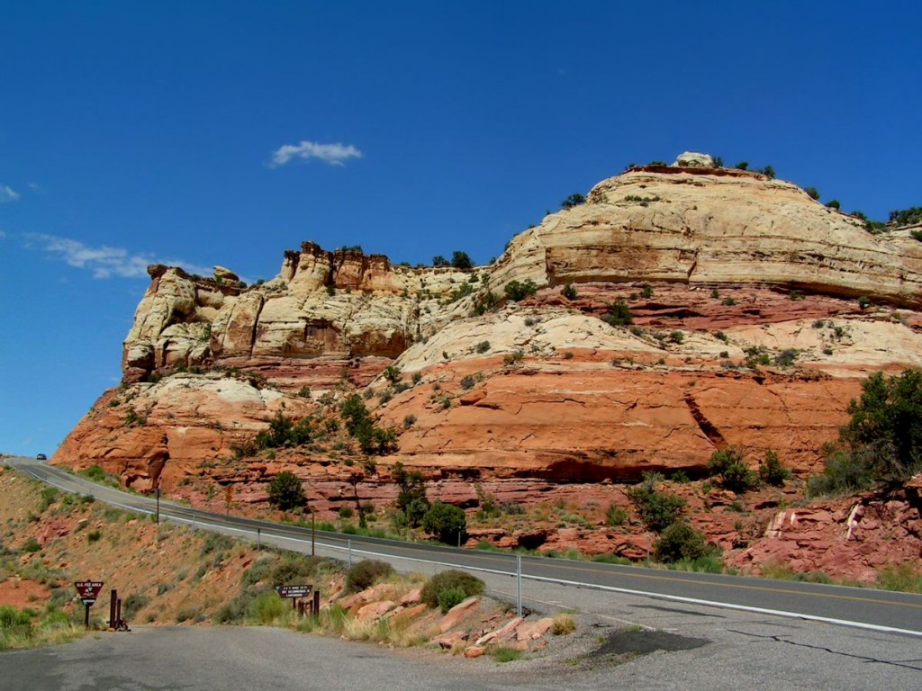Zdjęcia: Zion National Park, Utah, Przy drodze, USA Zdjęcia: Zion National Park, Utah, Przy drodze, USA