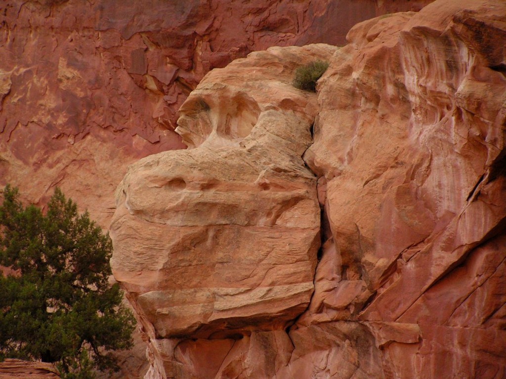 Zdjęcia: Arches National Park , Utah, Szepnę ci do uszka, USA Zdjęcia: Arches National Park , Utah, Szepnę ci do uszka, USA