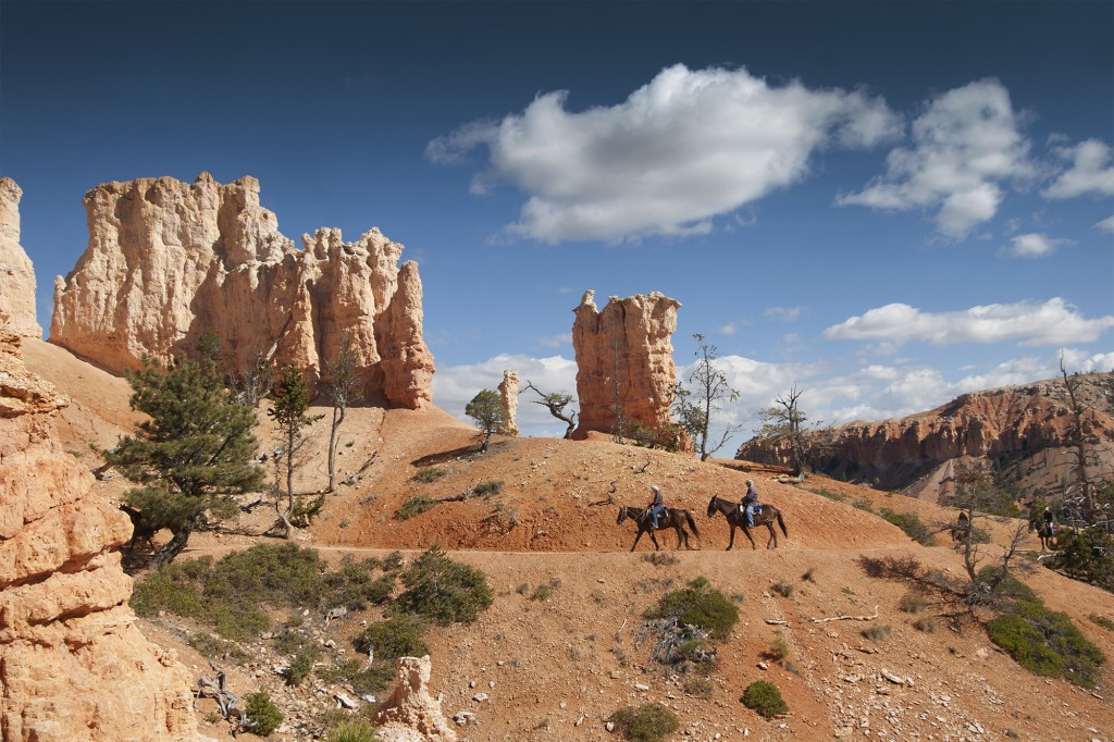 Zdjęcia: Bryce Canyon, Utah, great harmony, USA Zdjęcia: Bryce Canyon, Utah, great harmony, USA