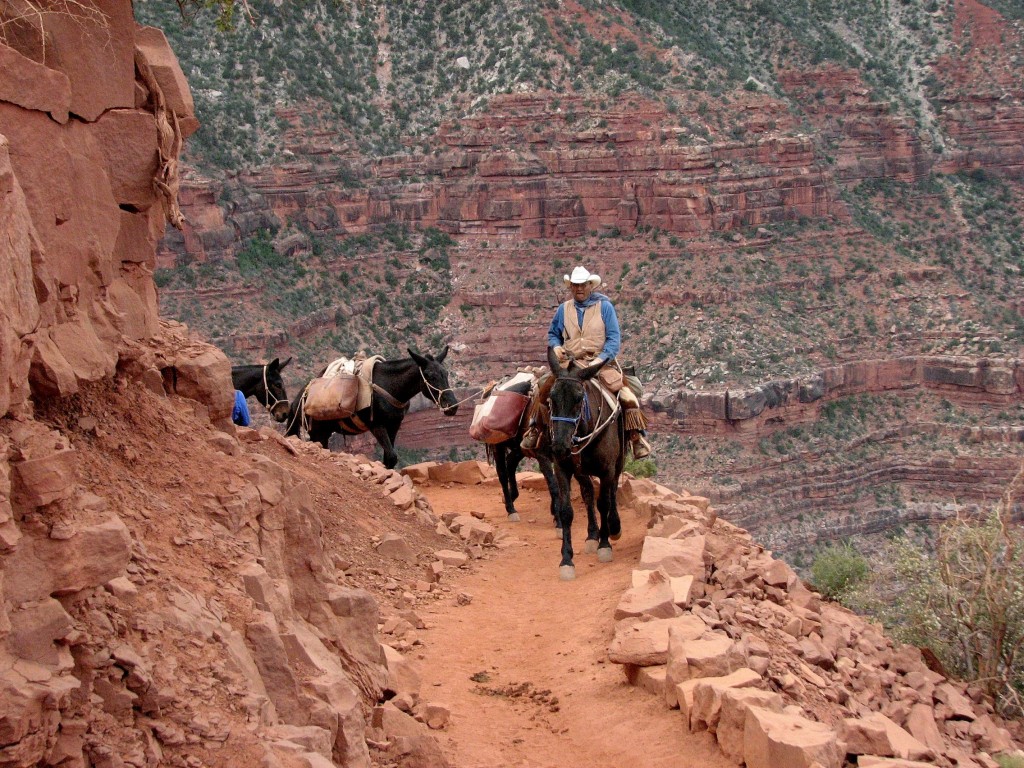 Zdjęcia: Wielki Kanion Kolorado, Arizona, Na szlaku, USA Zdjęcia: Wielki Kanion Kolorado, Arizona, Na szlaku, USA