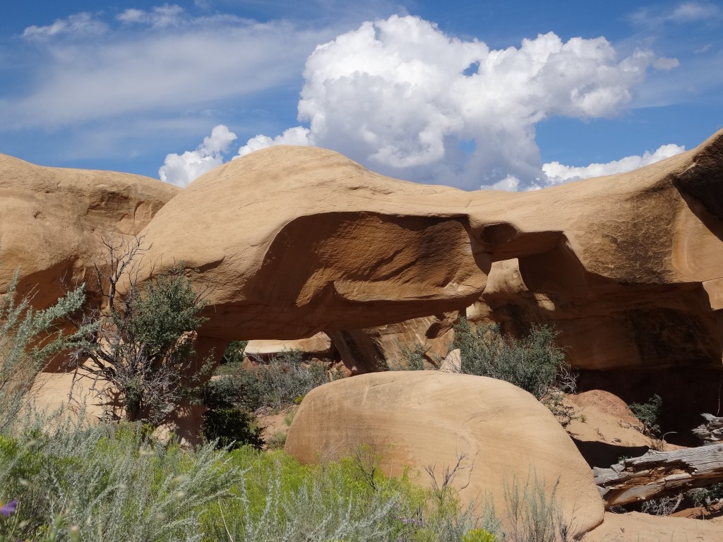 Zdjęcia: Escalante, Devils Garden, Utah, Diabelski Ogród - Mano Arch 2, USA Zdjęcia: Escalante, Devils Garden, Utah, Diabelski Ogród - Mano Arch 2, USA