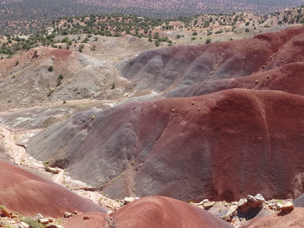 Zdjęcia: Utah, Zapraszam na BURR TRAIL ROAD 2, USA Zdjęcia: Utah, Zapraszam na BURR TRAIL ROAD 2, USA