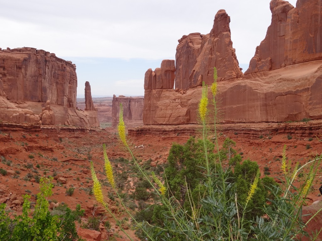 Zdjęcia: Arches NP, Kocham czerwone skały: Arches NP, USA Zdjęcia: Arches NP, Kocham czerwone skały: Arches NP, USA
