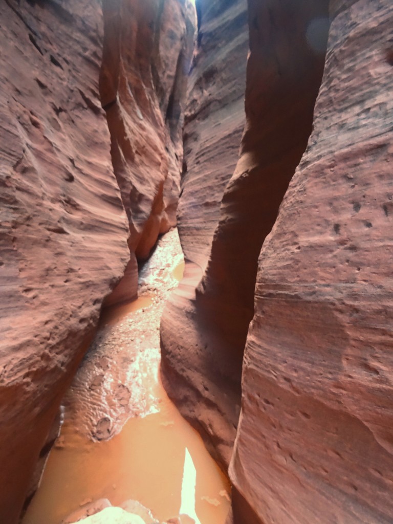 Zdjęcia: Vermilion Cliffs, Arizona, Wire Pass 1, USA Zdjęcia: Vermilion Cliffs, Arizona, Wire Pass 1, USA