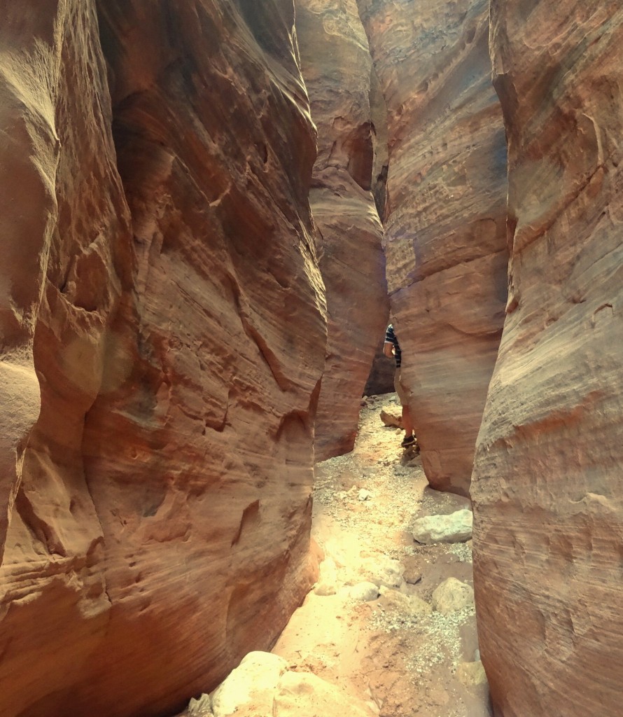 Zdjęcia: Vermilion Cliffs, Utah, Wire Pass, USA Zdjęcia: Vermilion Cliffs, Utah, Wire Pass, USA
