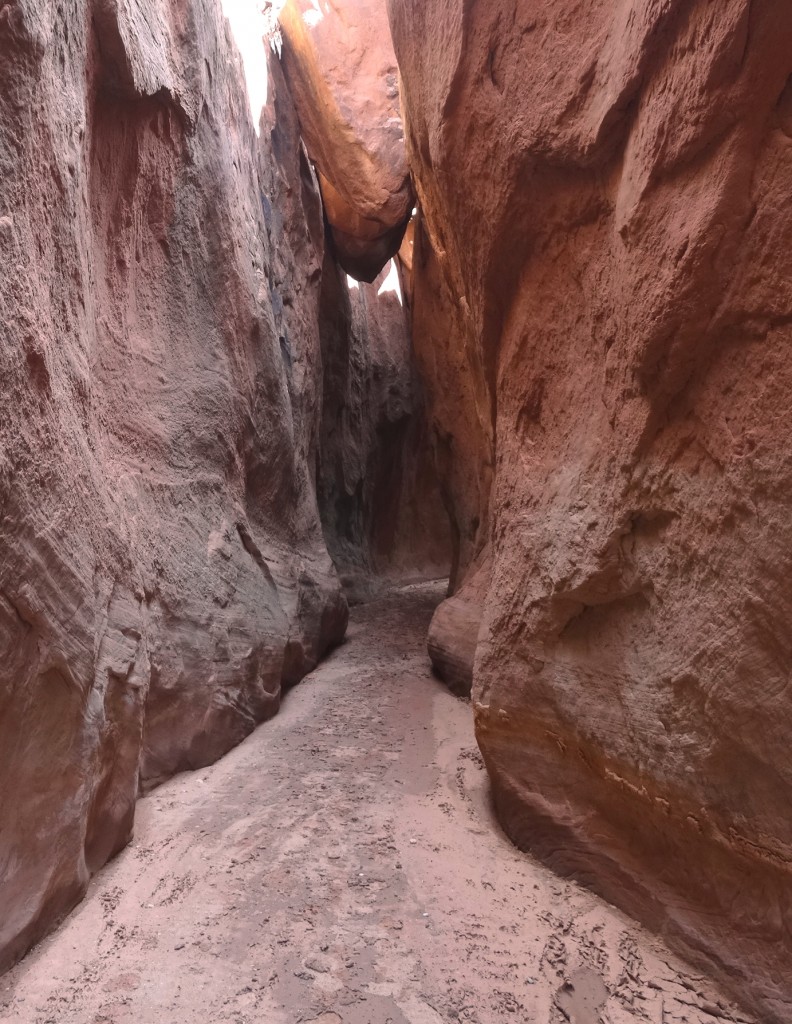 Zdjęcia: Escalante, Utah, Grand Staircase Escalante - Coyote Wash, USA Zdjęcia: Escalante, Utah, Grand Staircase Escalante - Coyote Wash, USA