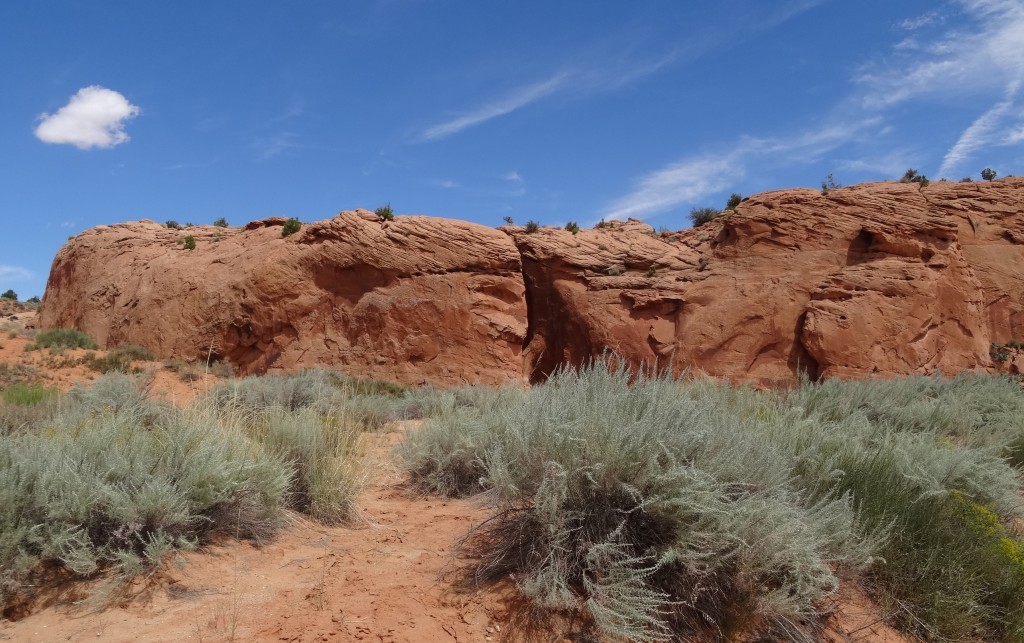 Zdjęcia: Escalante, Utah, Peek-a-Boo Canyon - wejście, USA Zdjęcia: Escalante, Utah, Peek-a-Boo Canyon - wejście, USA