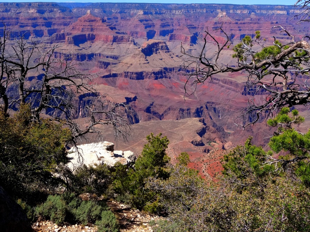 Zdjęcia: Grand Canyon, Arizona, Oddając się wspomnieniom..., USA Zdjęcia: Grand Canyon, Arizona, Oddając się wspomnieniom..., USA