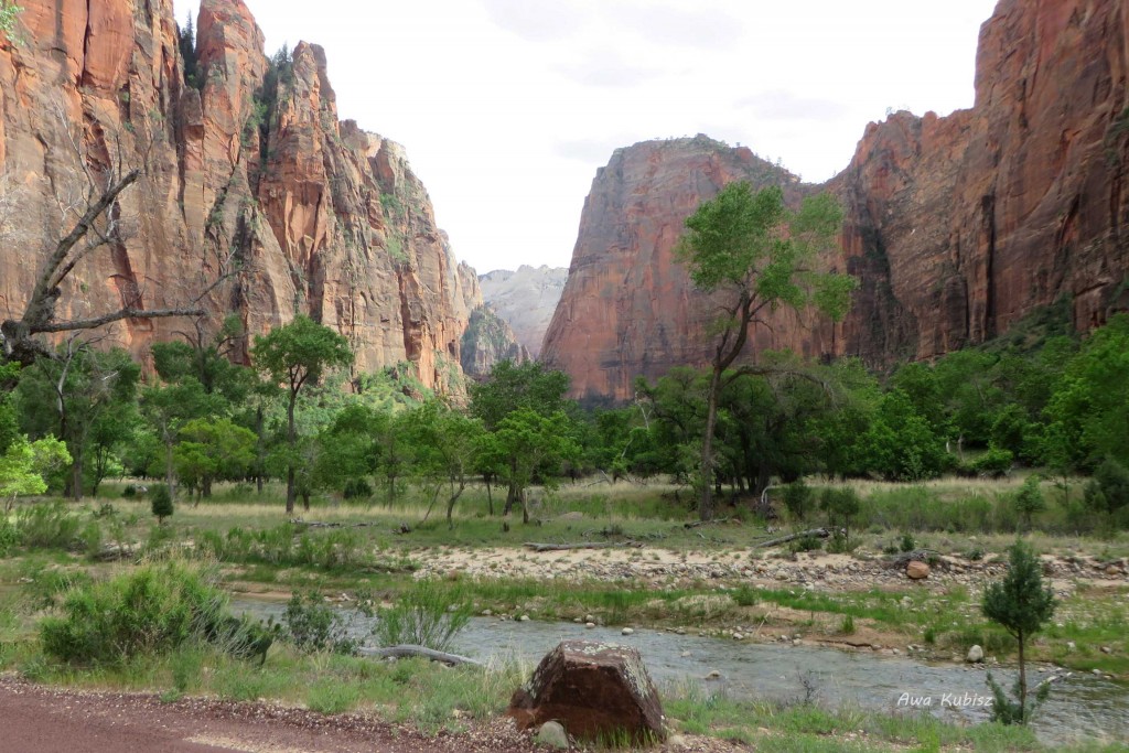 Zdjęcia: Park narodowy Zion, Utah, Brakuje tylko słoni i żyraf..., USA Zdjęcia: Park narodowy Zion, Utah, Brakuje tylko słoni i żyraf..., USA