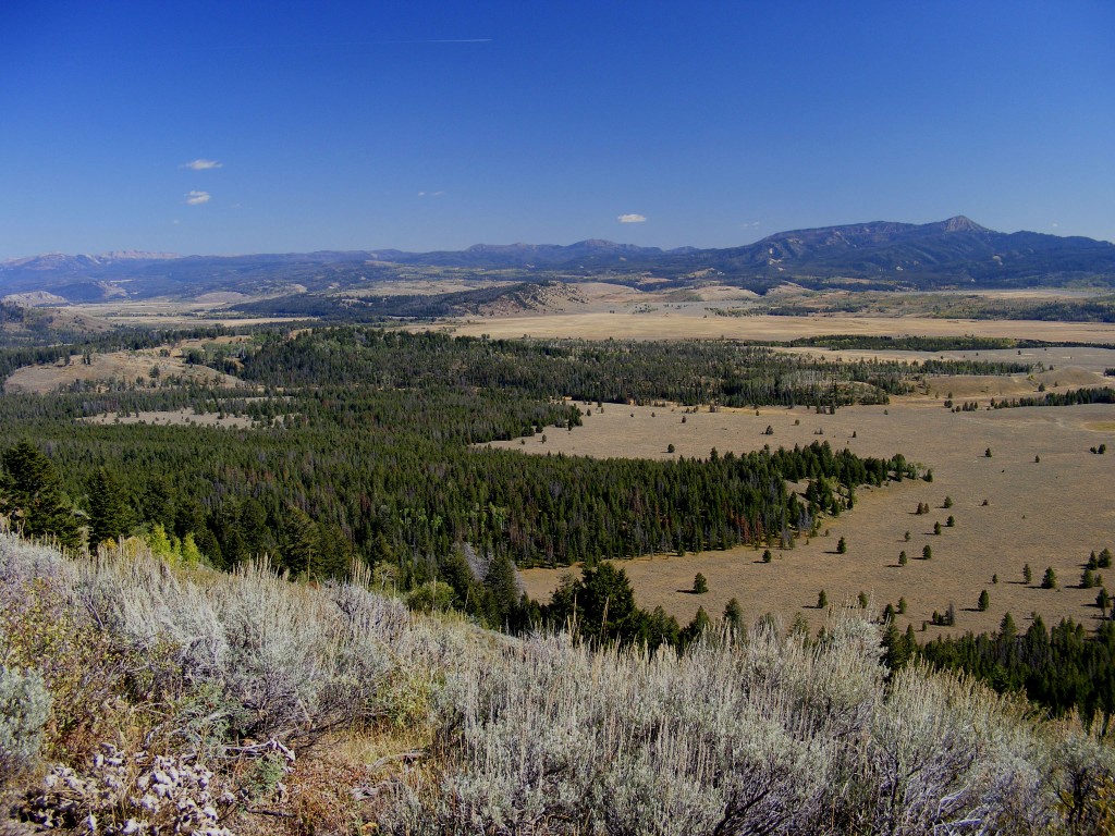 Zdjęcia: Wyoming, Wyoming, dolina rzeki Snake, USA Zdjęcia: Wyoming, Wyoming, dolina rzeki Snake, USA