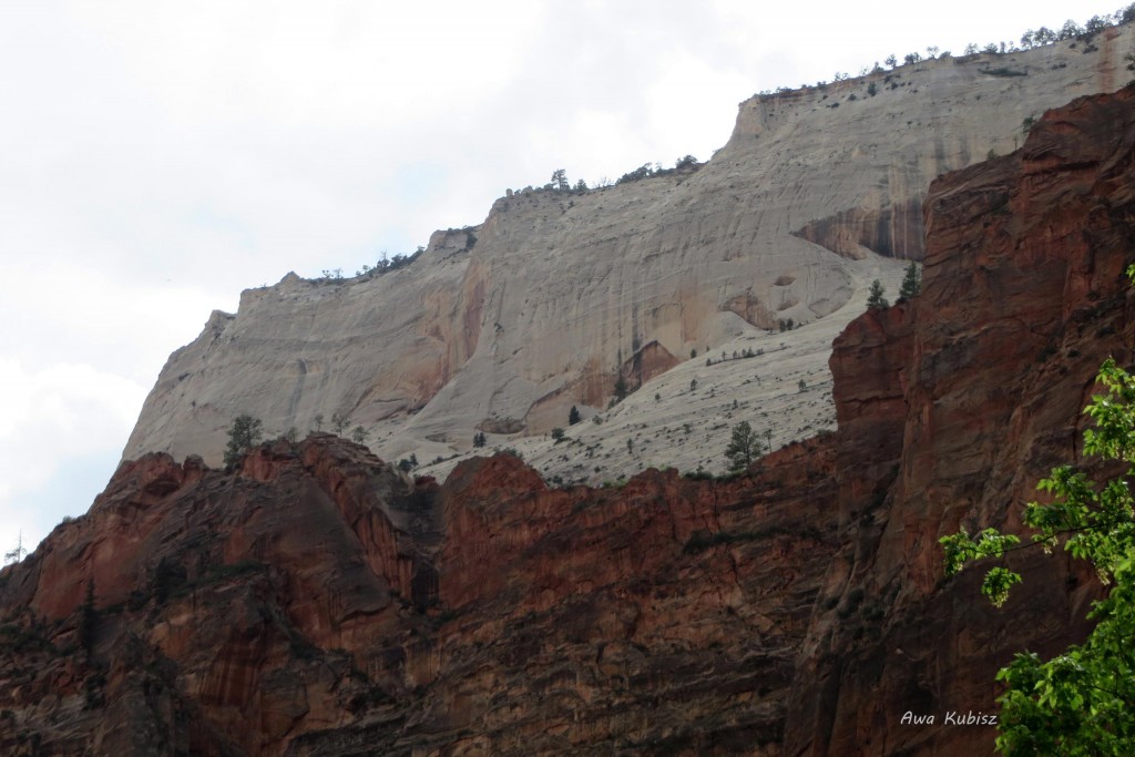 Zdjęcia: Park narodowy Zion, Utah, Prawie jak WZ-tka ;), USA Zdjęcia: Park narodowy Zion, Utah, Prawie jak WZ-tka ;), USA