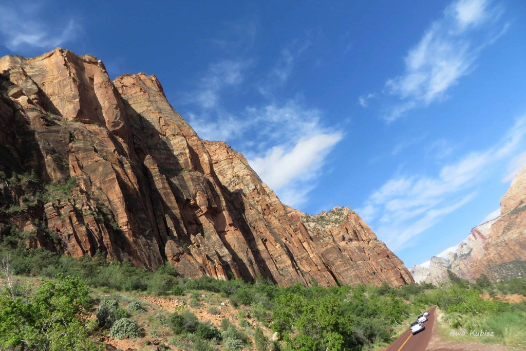 Zdjęcia: Park narodowy Zion, Utah, Samochody jak mróweczki, USA Zdjęcia: Park narodowy Zion, Utah, Samochody jak mróweczki, USA